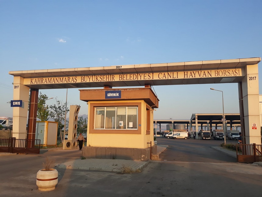 Canlı Hayvan Borsası’nda Kurban Satış Yerleri Kiralama İşlemi 15 Mayıs’ta Başlayacak