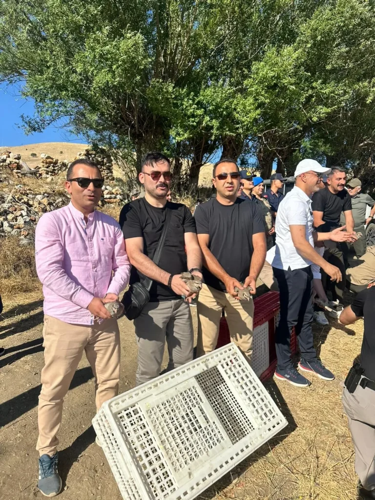 Kahramanmaraş’ta Kınalı Keklikler Doğaya Kanat Açıyor