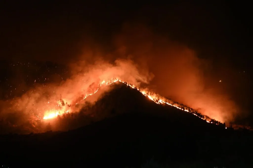 Başkan Görgel, Orman Yangını Alanında İncelemelerde Bulundu