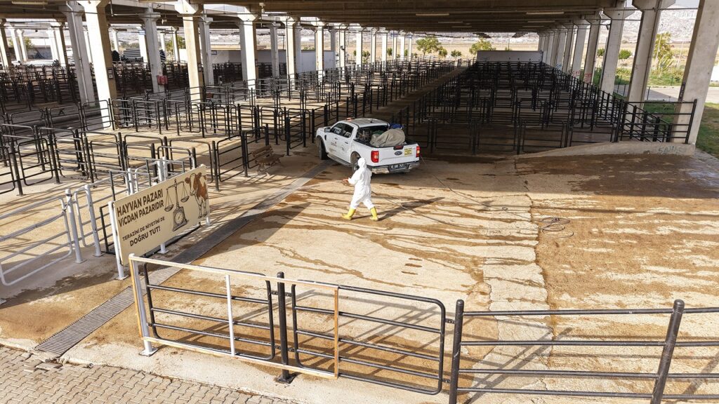 Büyükşehir’den Canlı Hayvan Pazarı’nda Halk Sağlığı İçin Kapsamlı Çalışma